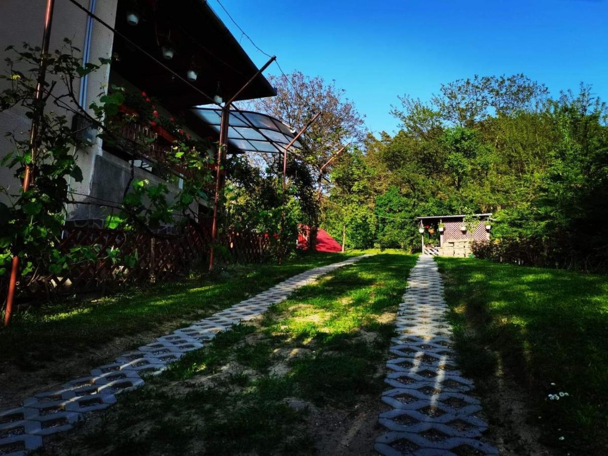 Casa De Vacanta Zsenik Vendeghaz Sovata Extérieur photo